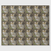 Papier Cadeau Bobcat (Plat)