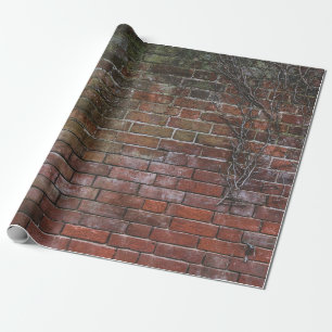 Papier Cadeau Bois Brown et noir