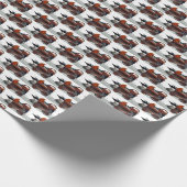 Papier Cadeau Bois Canard Thunder_Cove  (Coin)