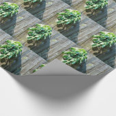 Papier Cadeau Bois de Grange frais coupé (Coin)