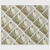 Papier Cadeau Bois Stork par Audubon (Plat)