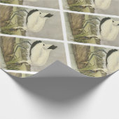 Papier Cadeau Bois Stork par Audubon (Coin)