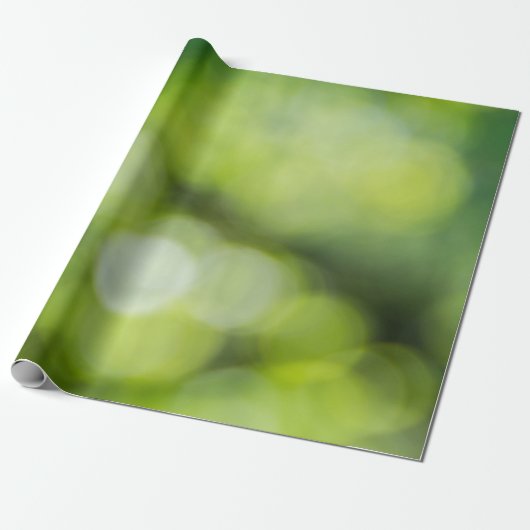 Papier Cadeau Bokee vert et jaune clair (Déroulé)