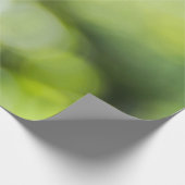 Papier Cadeau Bokee vert et jaune clair (Coin)