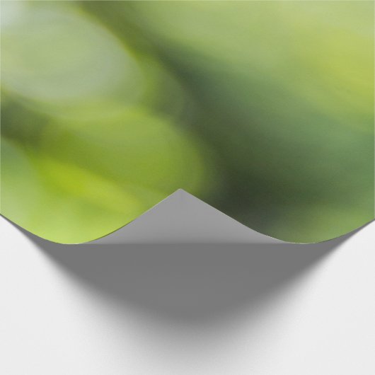 Papier Cadeau Bokee vert et jaune clair (Coin)