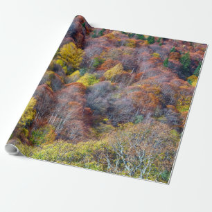 Papier Cadeau Bon thanksgiving Belle vue Forêt d'automne