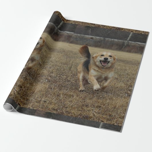 Papier Cadeau Bonheur (Déroulé)