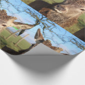 Papier Cadeau Bonjour cerfs communs (Coin)