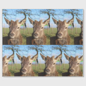 Papier Cadeau Bonjour cerfs communs (Plat)