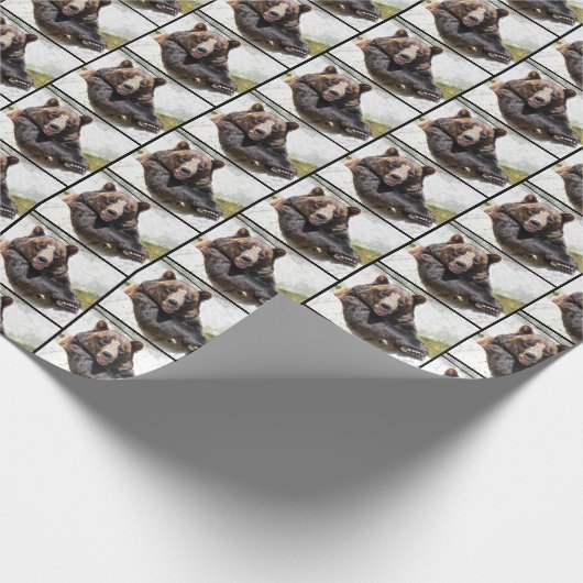 Papier Cadeau Bonne Ours (Coin)