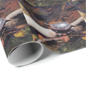 Papier Cadeau Bonne tortue (Coin rond)
