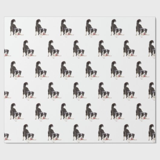Papier Cadeau Bordure Collie sur blanc (Plat)