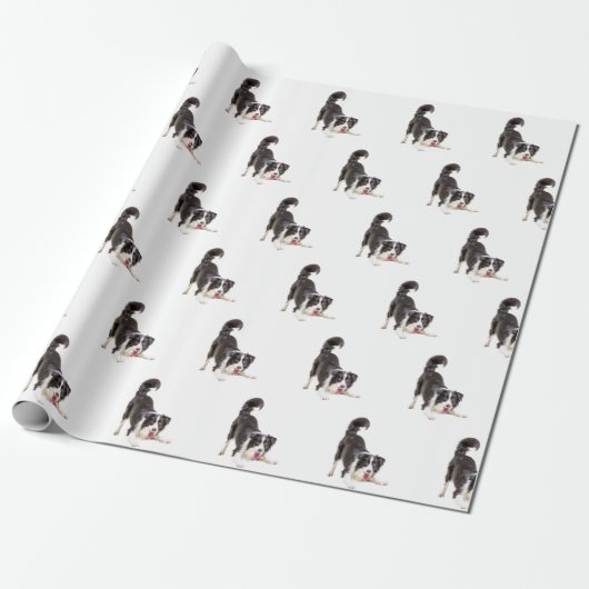 Papier Cadeau Bordure Collie sur blanc (Déroulé)