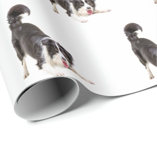 Papier Cadeau Bordure Collie sur blanc (Coin rond)