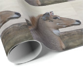 Papier Cadeau Boselaphus tragocamelus (Coin rond)