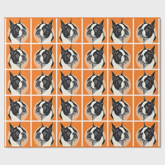 Papier Cadeau Boston terrier (Plat)