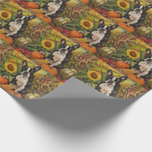 Papier Cadeau Boston Terrier Chien Automne Moisson Thanksgiving (Coin)