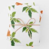Papier cadeau botanique (En situation)
