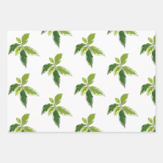Papier cadeau botanique
