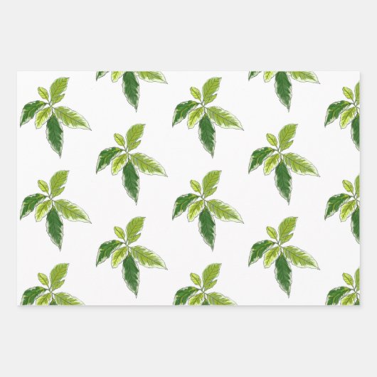 Papier cadeau botanique (Devant)