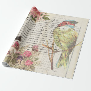 Papier Cadeau Botanique de découpage vintage d'oiseaux