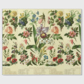 Papier Cadeau Botaniques vintages (Plat)