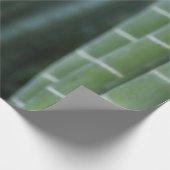 Papier Cadeau Bottes en bambou vert (Coin)