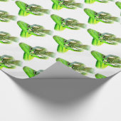 Papier Cadeau Bouddha vert Mossy méditant Thunder_Cove (Coin)