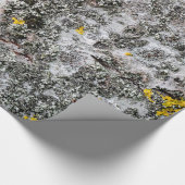 Papier Cadeau Bouleau et lichen (Coin)