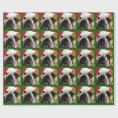 PAPIER CADEAU BOULEDOGUE (Plat)