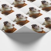 Papier Cadeau Bouledogue (Coin)