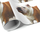 Papier Cadeau Bouledogue (Coin rond)