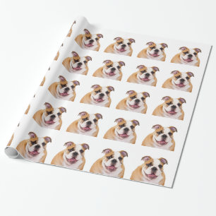 Papier Cadeau Bouledogue anglais