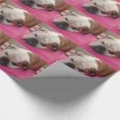 Papier Cadeau Bouledogue anglais (Coin)