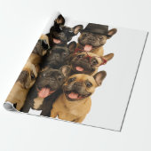 Papier Cadeau Bouledogue français (Déroulé)