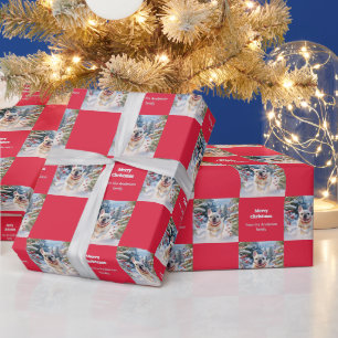 Papier Cadeau Bouledogue Français Blanc dans la neige rouge Noël