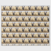 Papier Cadeau Bouledogue français dans la paille Bouledogue fran (Plat)