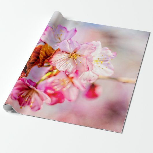 Papier Cadeau Bouquet De Fleurs De Sakura Rose (Déroulé)