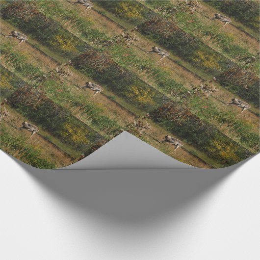 Papier Cadeau Bouton de baiser (Coin)