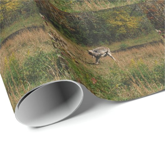 Papier Cadeau Bouton de baiser (Coin rond)