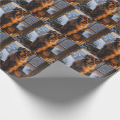 Papier Cadeau Bouvier des Flandres avec les illuminations de Noë (Coin)