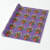 Papier Cadeau Boykin Spaniel Noël (Déroulé)
