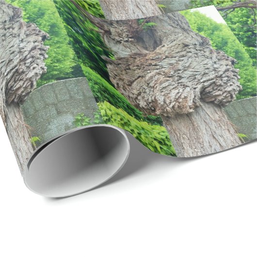Papier Cadeau Bracelet d'arbre, Knar, Nature Green (Coin rond)