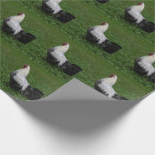 Papier Cadeau Brakel Hahn (Coin)