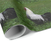 Papier Cadeau Brakel Hahn (Coin rond)