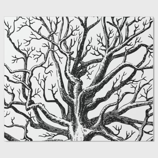 Papier Cadeau Branches rustiques Abstraites en noir et blanc (Plat)