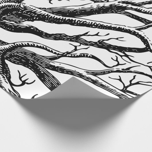 Papier Cadeau Branches rustiques Abstraites en noir et blanc (Coin)