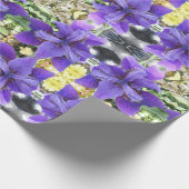 Papier Cadeau Brandeis (Coin)