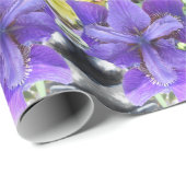 Papier Cadeau Brandeis (Coin rond)