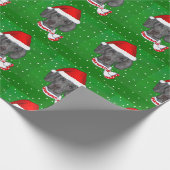 PAPIER CADEAU BRAQUE DE WEIMAR (Coin)